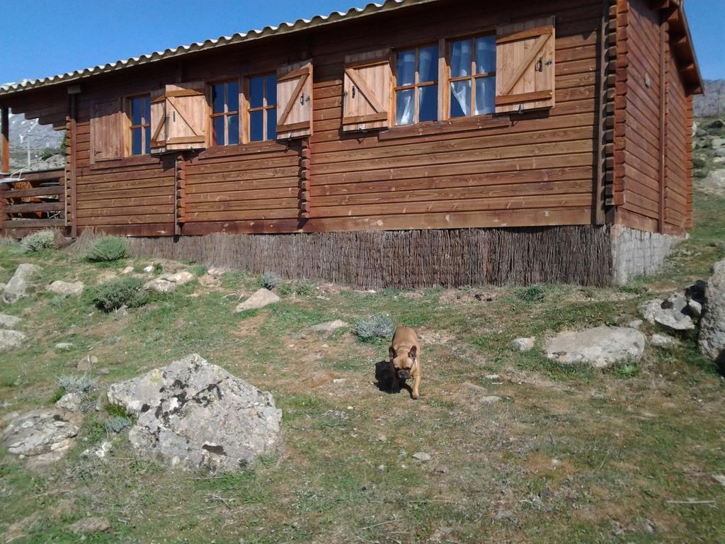 Les Chalets De Lozzi Калакучча Экстерьер фото