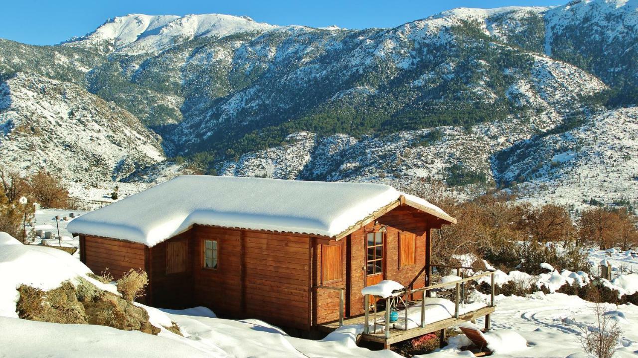 Les Chalets De Lozzi Калакучча Экстерьер фото